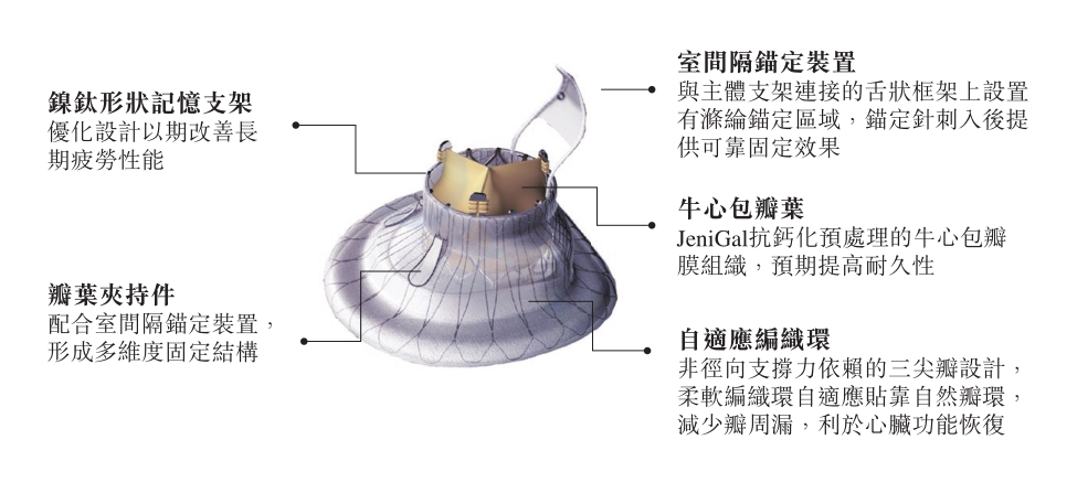 人工三尖瓣结构