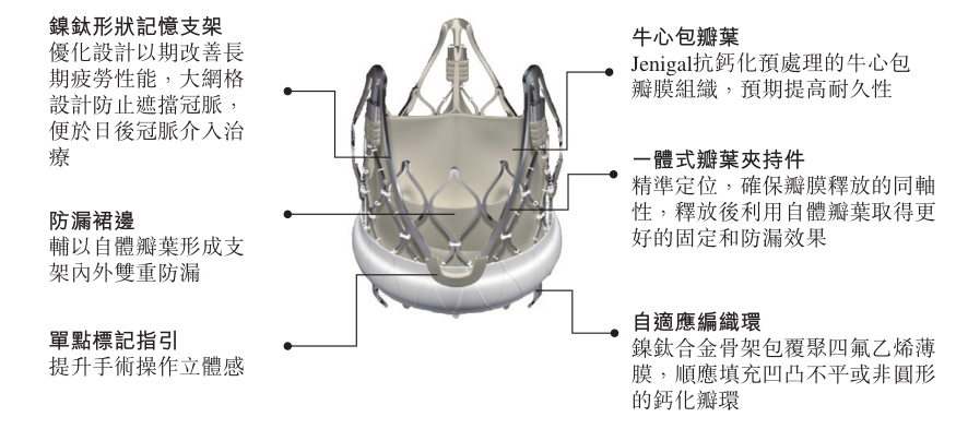 人工主动脉结构